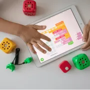 CERENA - Centro de Reabilitação Neuropediátrica